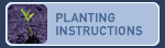 Planting Instructions